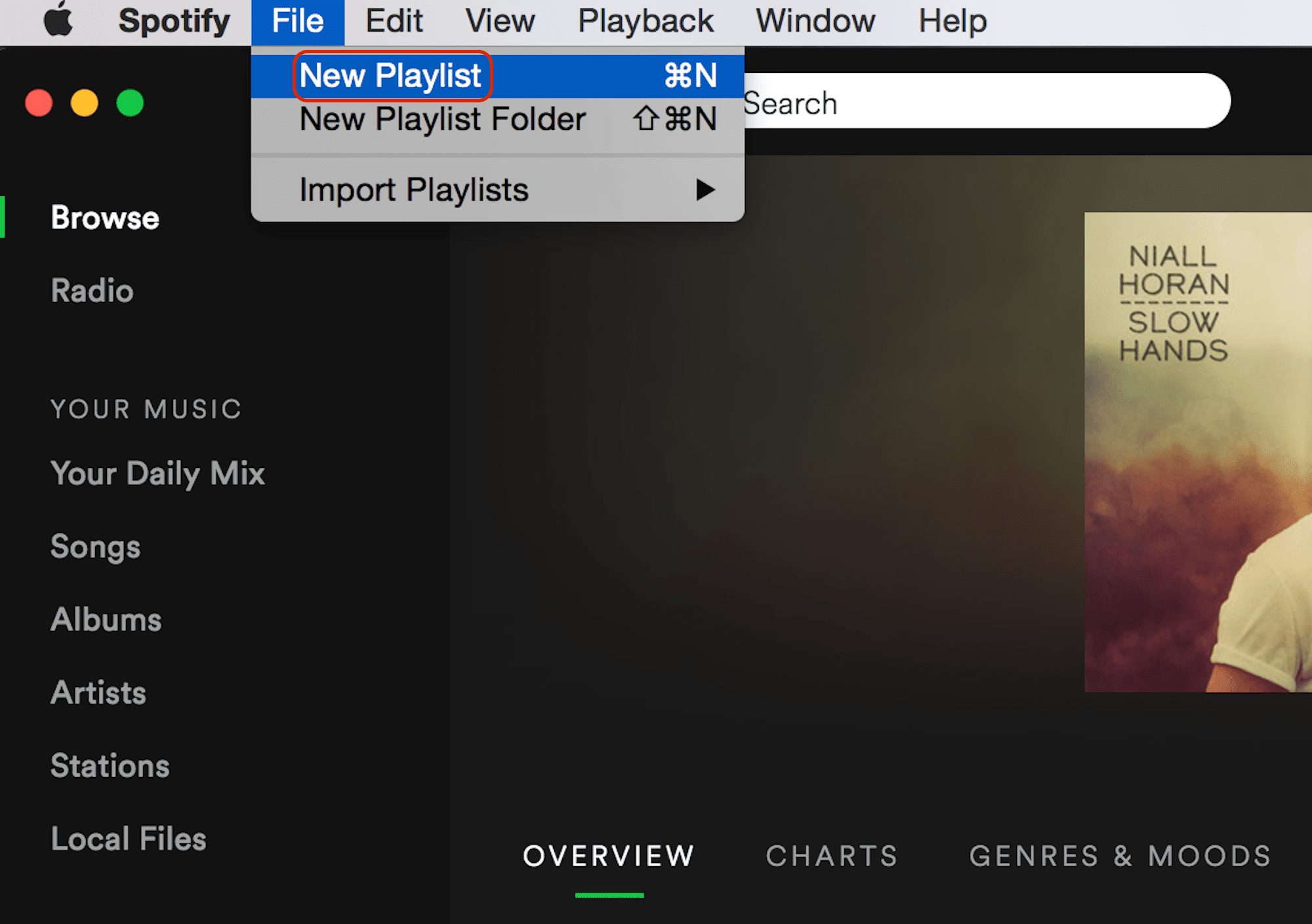 Spotify Premium Mod Apk